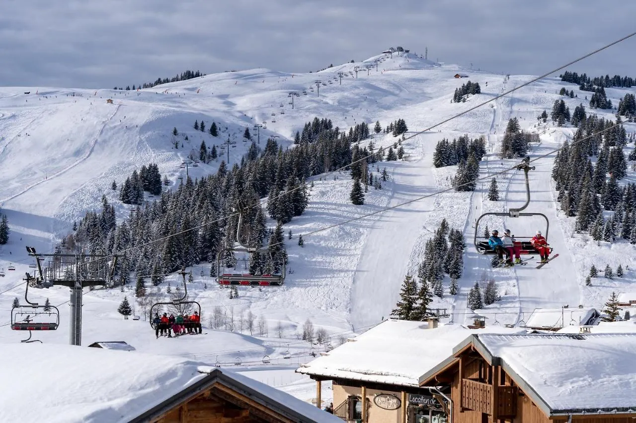 Les Saisies Appart 1 Chambre Au Pied Des Pistes Apartment
