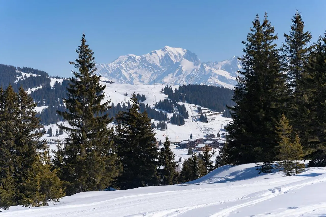 Les Saisies Appart 1 Chambre Au Pied Des Pistes