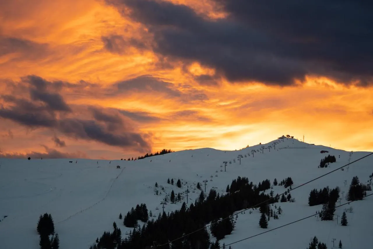 Les Saisies Appart 1 Chambre Au Pied Des Pistes France