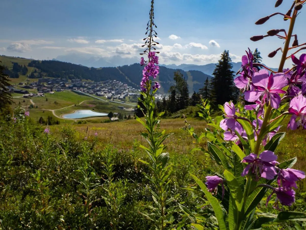 Les Saisies Appart 1 Chambre Au Pied Des Pistes France